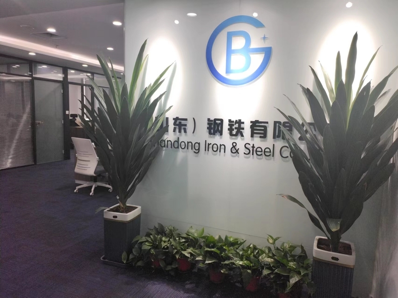 Chiny Baogang (Shandong) Steel Co., Ltd profil firmy